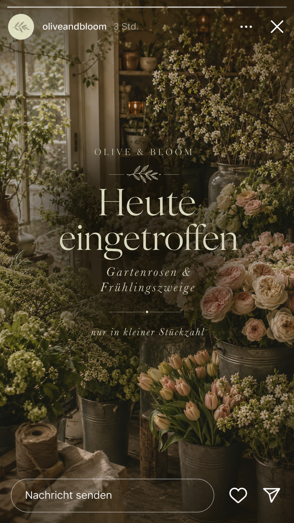 Editoriale Detailaufnahme aus dem Floralatelier